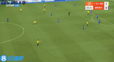 msn, 广东广州豹